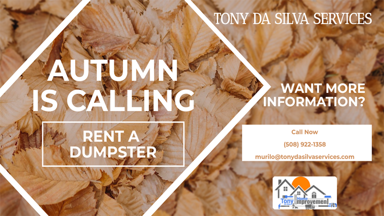 Autumn cleaning – Tony da Silva Services