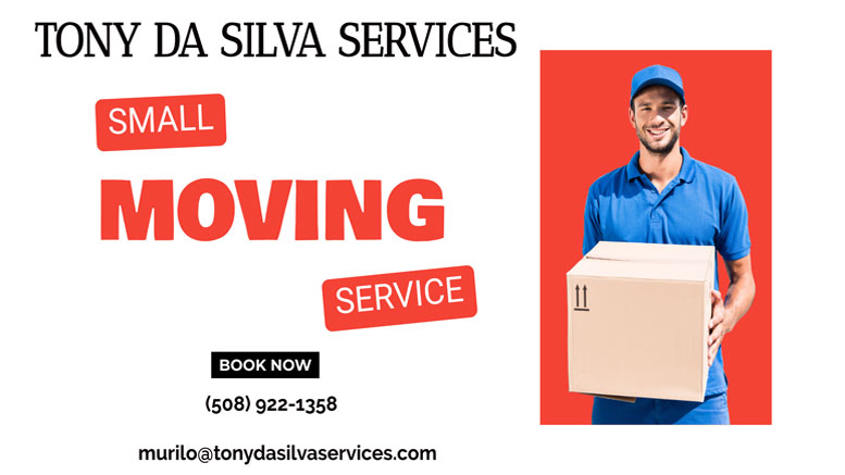 Navigating Small Moves: Specialized Services Offered by Small Moving Companies – Tony da Silva Services
