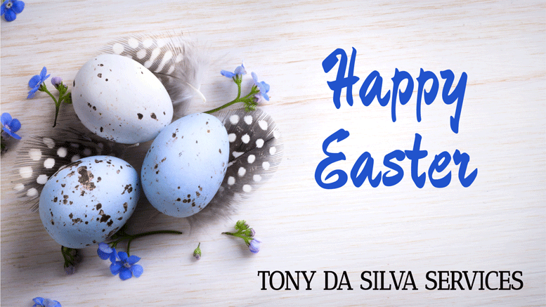 Tony da Silva Services.com